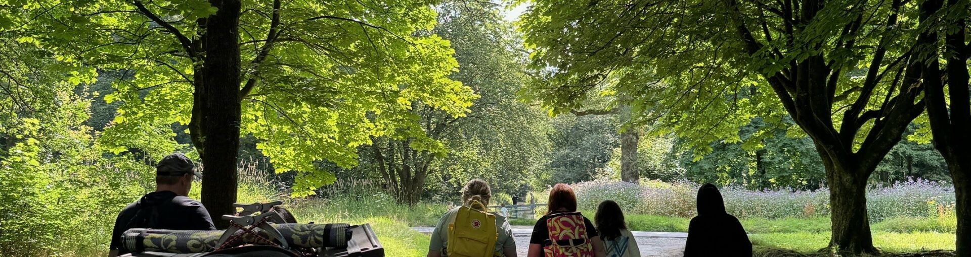 Healthwatch staff walking through a forest
